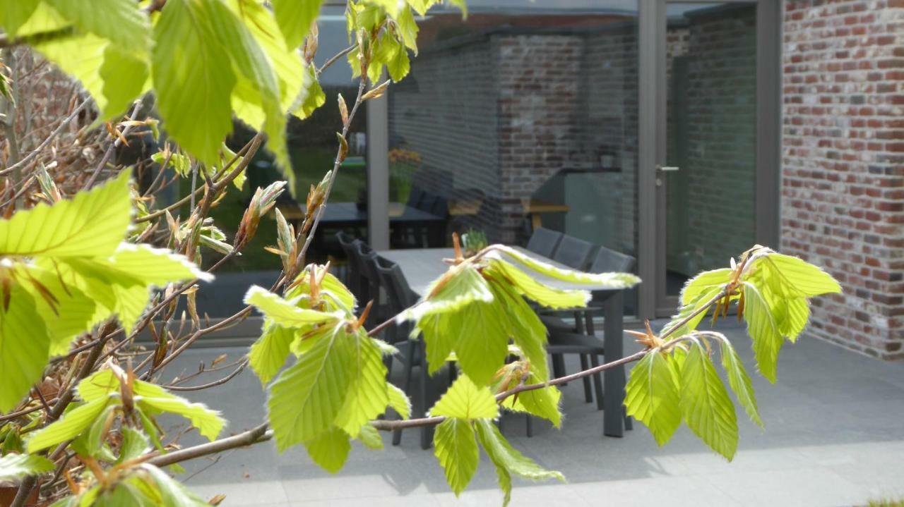 Camilles House Vila Wijtschate Exterior foto